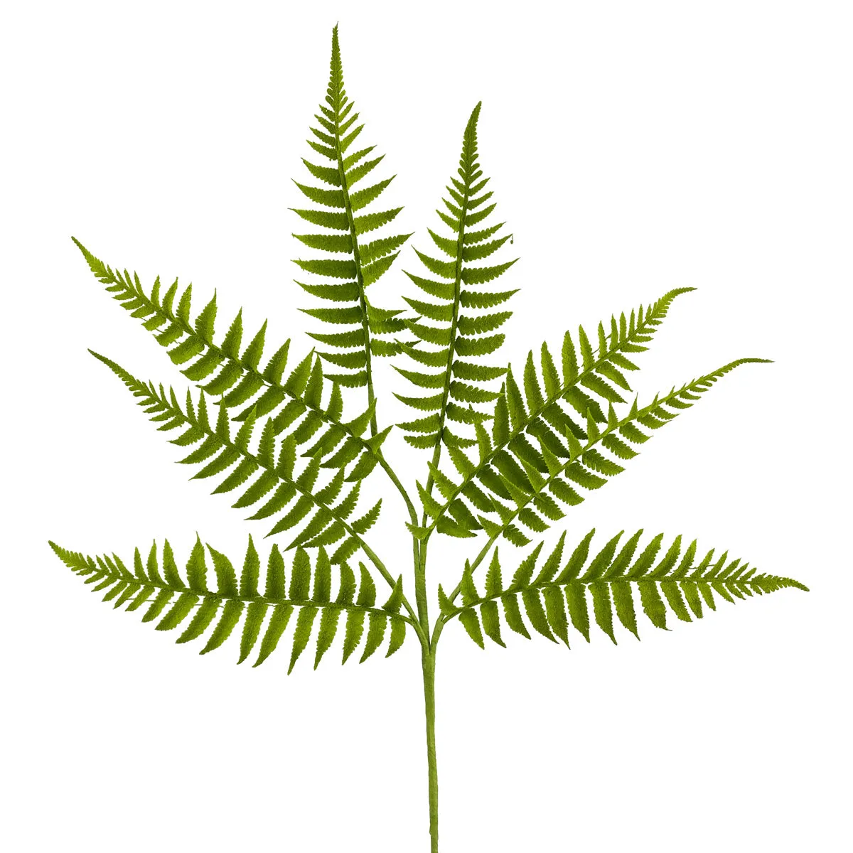 Short Fern Spray